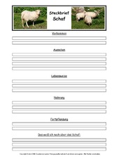 Schaf-Steckbriefvorlage.pdf